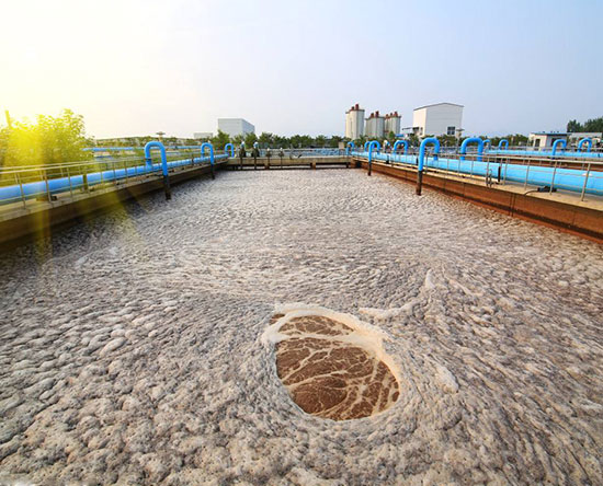 ������ˮ̎��